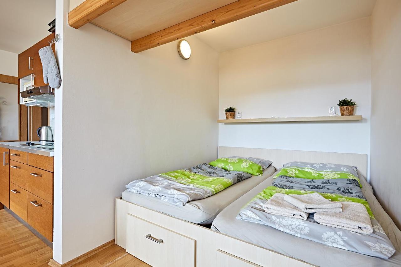 Apartman Klinovec 365 Loučná pod Klínovcem Buitenkant foto