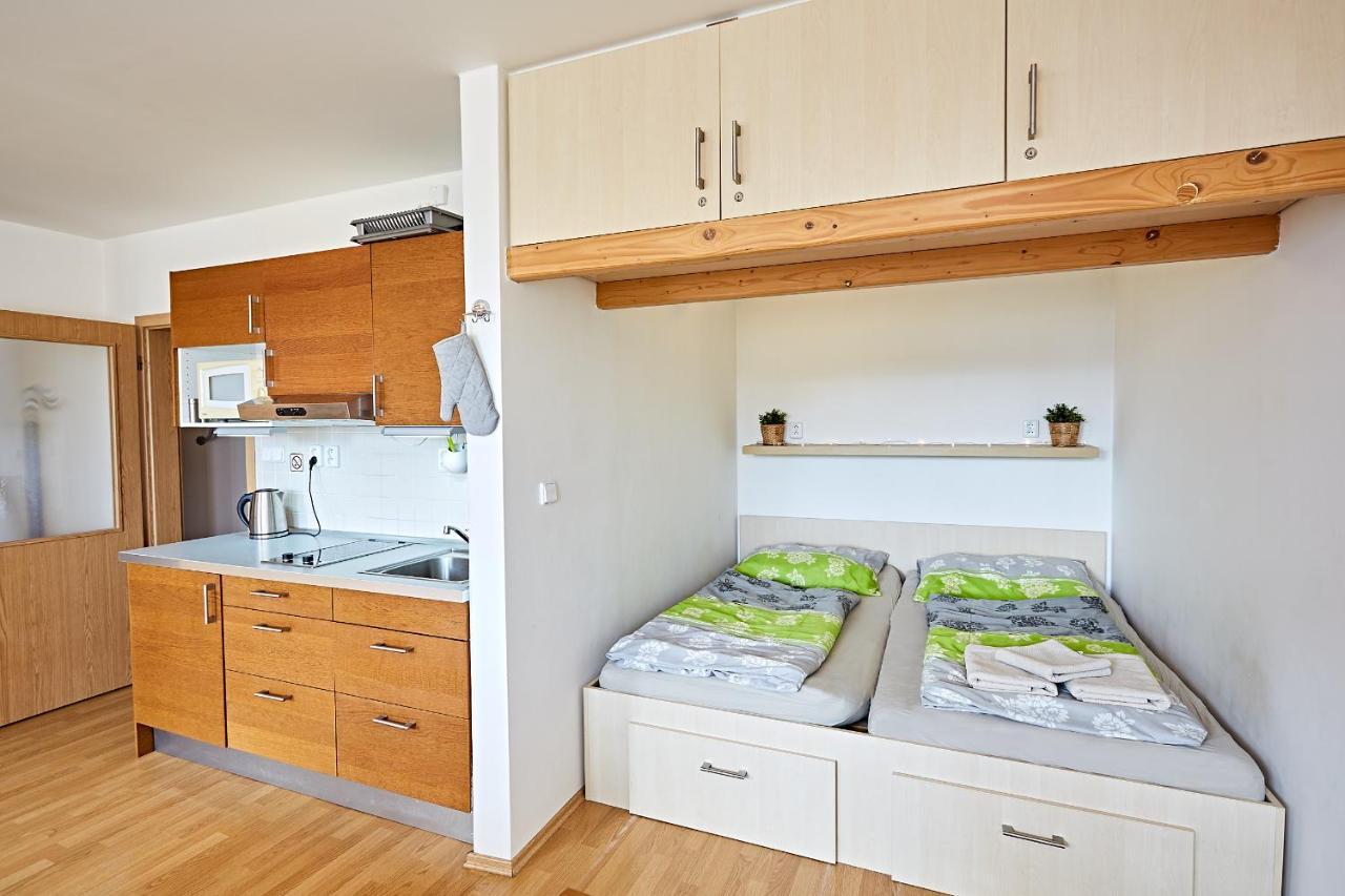 Apartman Klinovec 365 Loučná pod Klínovcem Buitenkant foto
