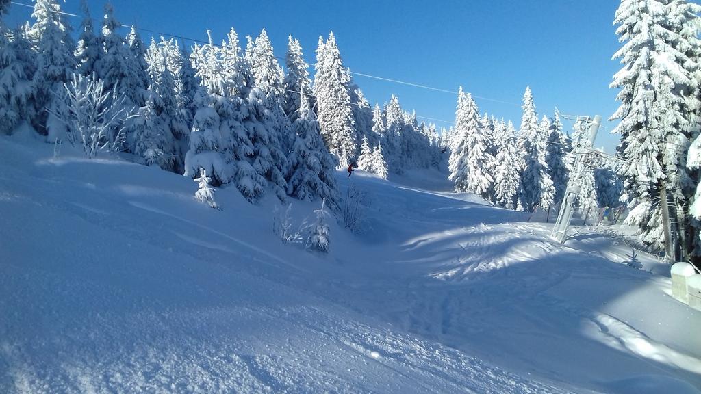 Apartman Klinovec 365 Loučná pod Klínovcem Buitenkant foto